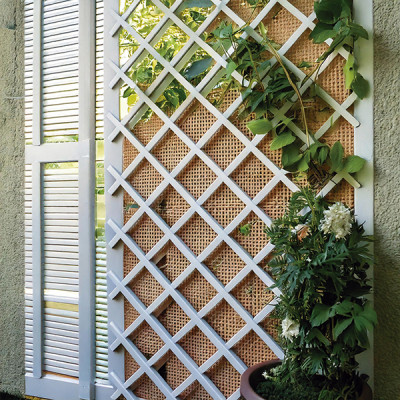 CELOSIA EXTENS PVC BLANCA