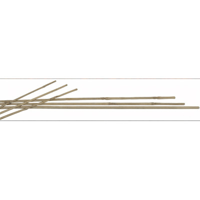 MAZO 5 TUTORES BAMBU 120 CM