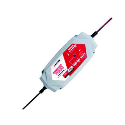 CARGADOR BATERIA 10067