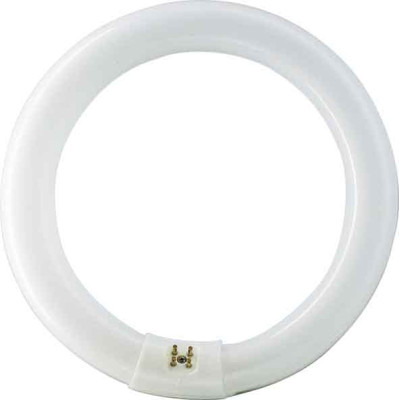 TUBO FLUORESCE CIRCULAR T9 840 G10Q 409MM