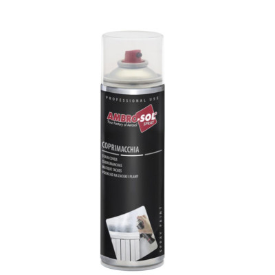 PINTURA ANTIMANCHAS AEROSOL